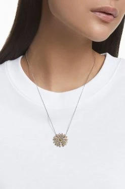 Γυναικεία Κολιέ Swarovski χρυσαφί -Swarovski Κατάστημα unnamed file 1864