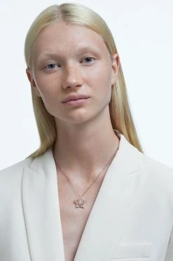 Γυναικεία Swarovski - Κολιέ Stella χρυσαφί -Swarovski Κατάστημα unnamed file 906